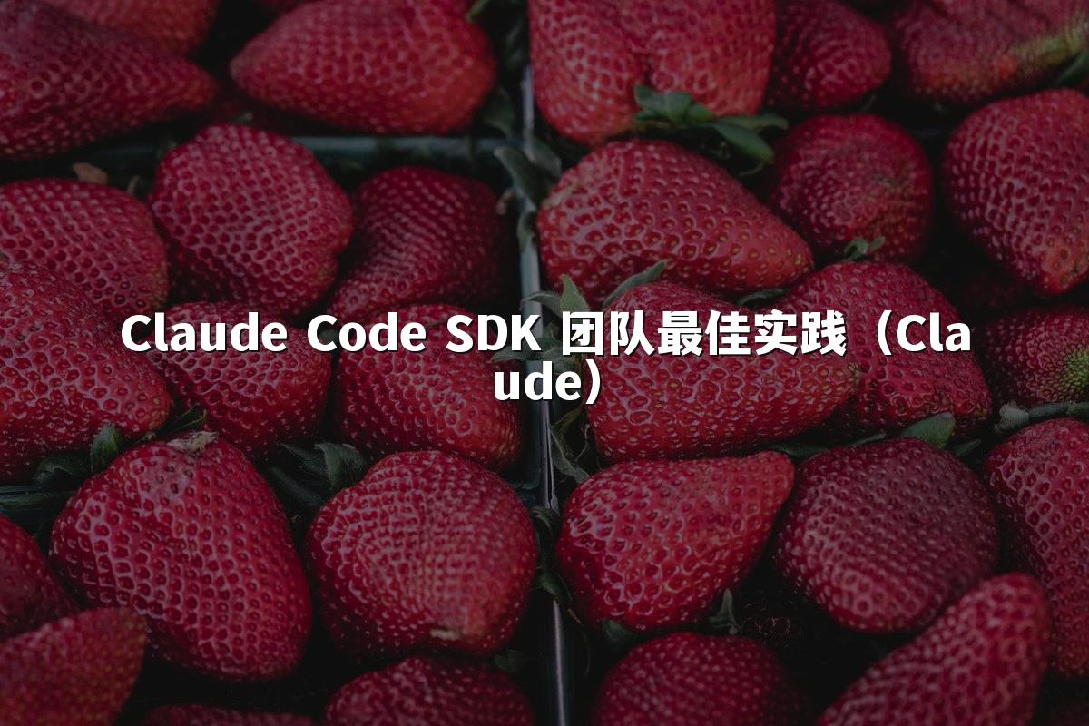Claude Code SDK 团队最佳实践(Claude)