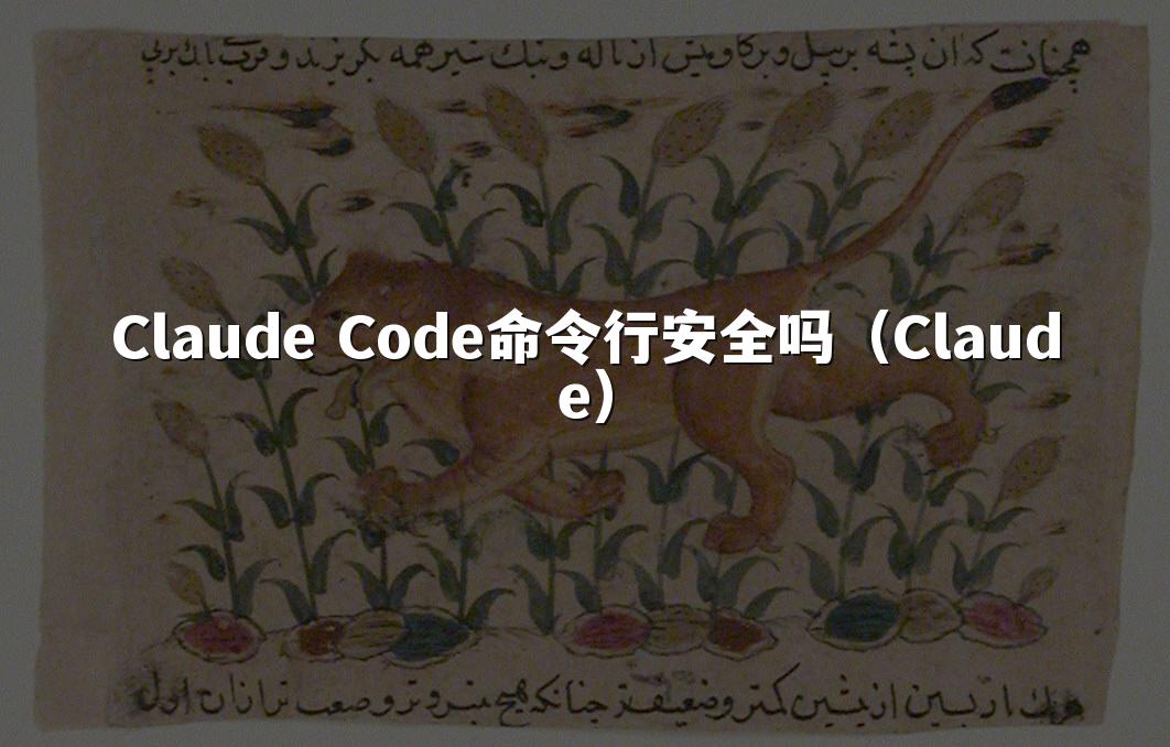 Claude Code命令行安全吗(Claude)