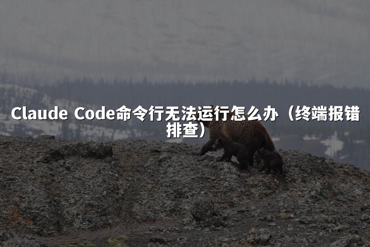 Claude Code命令行无法运行怎么办(终端报错排查)