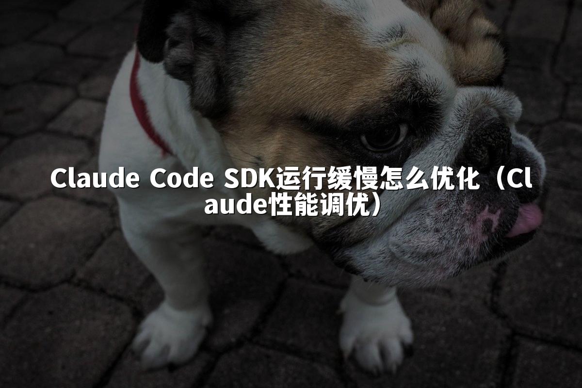 Claude Code SDK运行缓慢怎么优化(Claude性能调优)