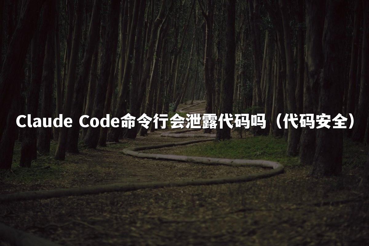 Claude Code命令行会泄露代码吗(代码安全)