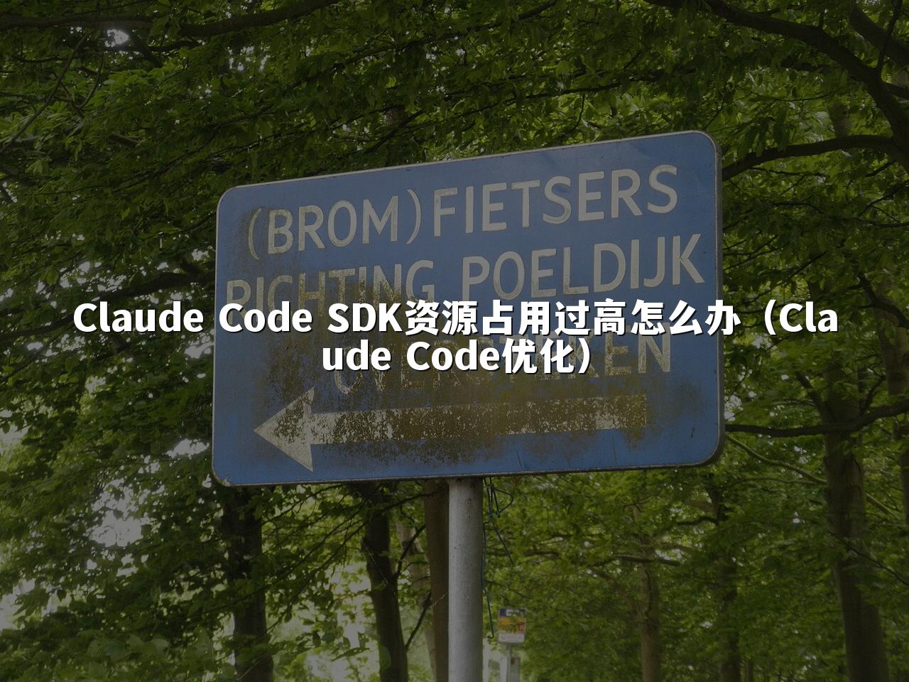 Claude Code SDK资源占用过高怎么办(Claude Code优化)